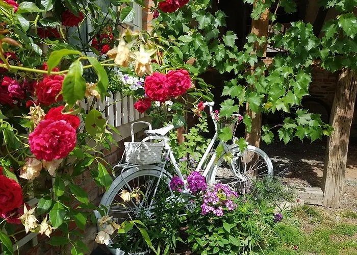 Romantisches Rosencottage
